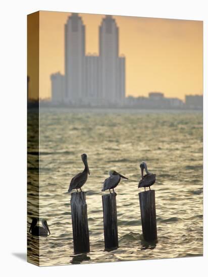 San Padre Island, Texas, United States of America, North America-Michael DeFreitas-Premier Image Canvas