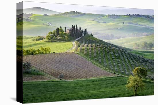 San Quirico, Val d'Orcia, Tuscany. Italy-Francesco Riccardo Iacomino-Premier Image Canvas