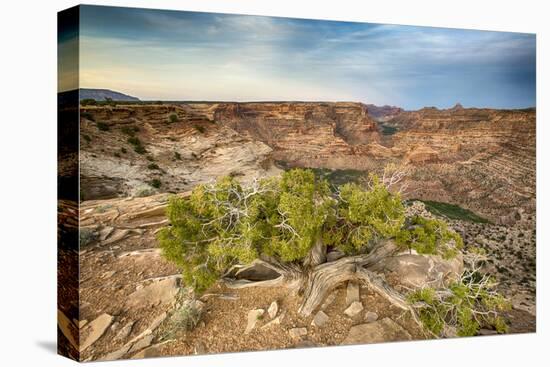 San Rafael Swell from the Wedge Overlook-Howie Garber-Premier Image Canvas