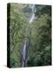 San Ramon Waterfall, Ometepe Island, Nicaragua, Central America-G Richardson-Premier Image Canvas