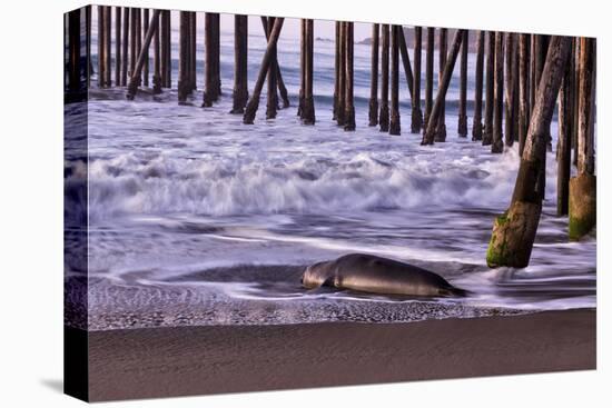 San Simeon Pier I-Lee Peterson-Stretched Canvas