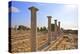 Sanctuary of Apollo Yiatis, Kourion, UNESCO World Heritage Site, Cyprus, Eastern Mediterranean-Neil Farrin-Premier Image Canvas