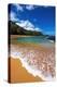 Sand and surf at Lumahai Beach, Island of Kauai, Hawaii, USA-Russ Bishop-Premier Image Canvas