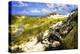 Sand Bay Beach I-Alan Hausenflock-Premier Image Canvas
