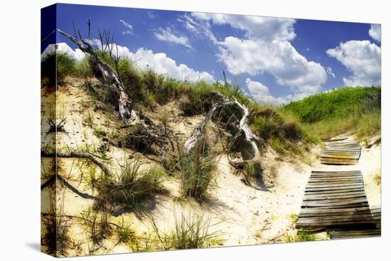Sand Bay Beach II-Alan Hausenflock-Premier Image Canvas