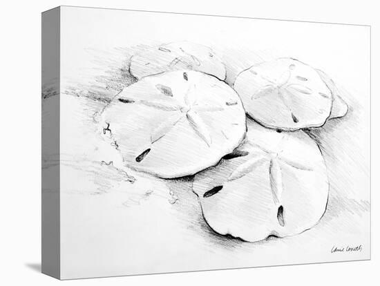 Sand Dollar I-Lanie Loreth-Stretched Canvas