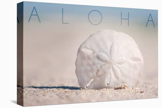Sand Dollar on Beach - Aloha-Lantern Press-Stretched Canvas