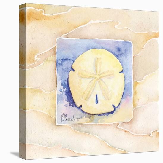 Sand dollar-Paul Brent-Stretched Canvas