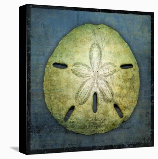 Sand Dollar-John W Golden-Premier Image Canvas