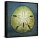 Sand Dollar-John W Golden-Premier Image Canvas