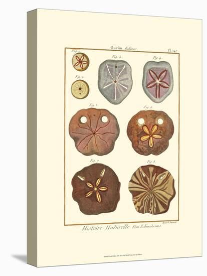 Sand Dollars II-Diderot-Stretched Canvas