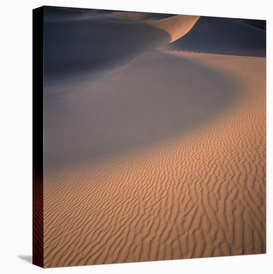 Sand Dune-Micha Pawlitzki-Premier Image Canvas