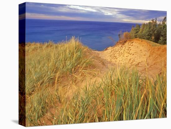 Sand Dunes Along Lake Superior at Pictured Rocks National Seashore, Grand Marais, Michigan, USA-Chuck Haney-Premier Image Canvas