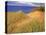 Sand Dunes Along Lake Superior at Pictured Rocks National Seashore, Grand Marais, Michigan, USA-Chuck Haney-Premier Image Canvas