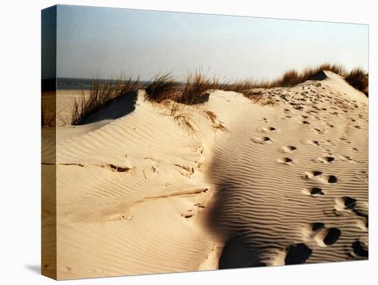 Sand Dunes and Foot Prints-Katrin Adam-Premier Image Canvas