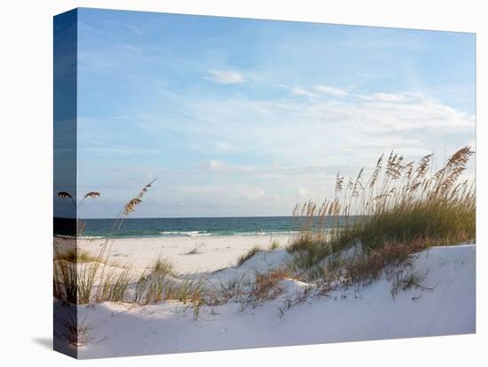 Sand Dunes and Ocean at Sunset, Pensacola, Florida.-forestpath-Premier Image Canvas
