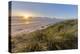 Sand Dunes and Pacific Ocean in the Oregon Dunes NRA, Oregon-Chuck Haney-Premier Image Canvas