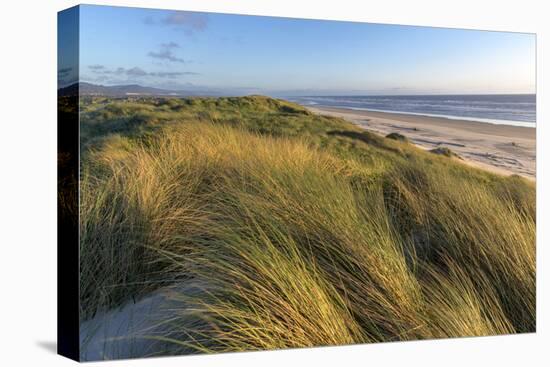 Sand Dunes and Pacific Ocean in the Oregon Dunes NRA, Oregon-Chuck Haney-Premier Image Canvas