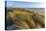 Sand Dunes and Pacific Ocean in the Oregon Dunes NRA, Oregon-Chuck Haney-Premier Image Canvas