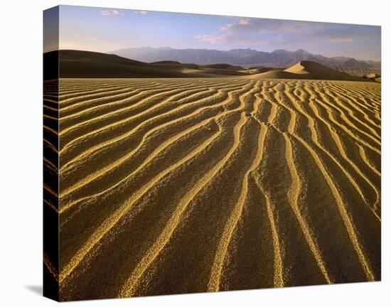 Sand dunes, Death Valley National Park, California-Tim Fitzharris-Stretched Canvas