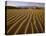 Sand dunes, Death Valley National Park, California-Tim Fitzharris-Stretched Canvas