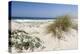 Sand Dunes, Dune Vegetation, Portuguese Atlantic Coast, Praia D'El Rey, Province Obidos, Portugal-Axel Schmies-Premier Image Canvas