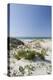 Sand Dunes, Dune Vegetation, Portuguese Atlantic Coast, Praia D'El Rey, Province Obidos, Portugal-Axel Schmies-Premier Image Canvas