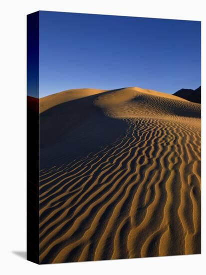 Sand Dunes in Death Valley-Bill Ross-Premier Image Canvas