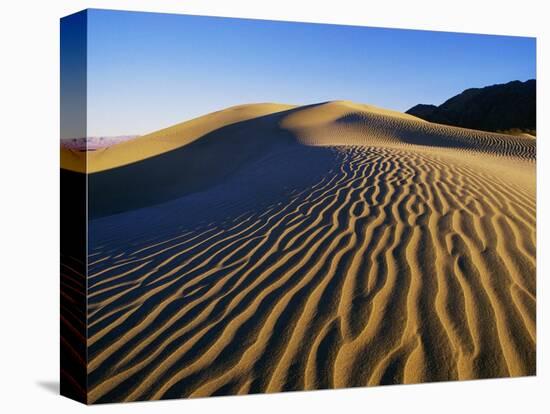 Sand Dunes in Death Valley-Bill Ross-Premier Image Canvas