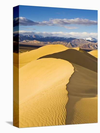 Sand Dunes in Death Valley-Rudy Sulgan-Premier Image Canvas