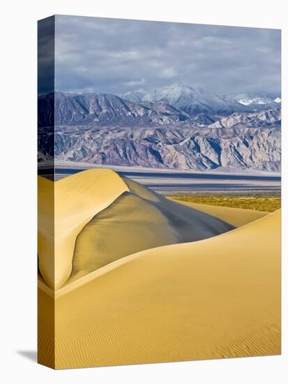 Sand Dunes in Death Valley-Rudy Sulgan-Premier Image Canvas