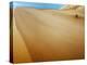 Sand Dunes in the Desert-Steven Boone-Premier Image Canvas