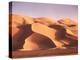 Sand Dunes in the Erg-Thonig-Premier Image Canvas