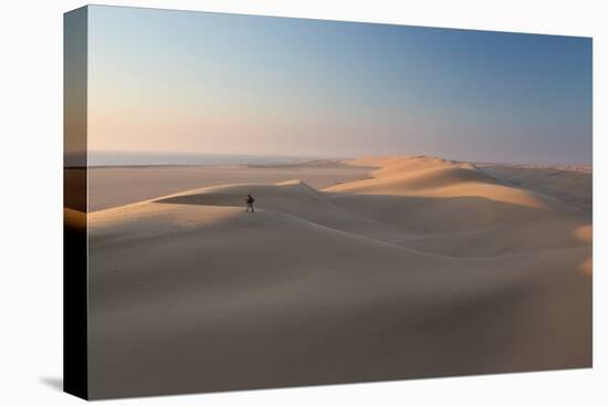 Sand Dunes Near Swakopmund in Namibia-Alex Saberi-Premier Image Canvas