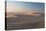 Sand Dunes Near Swakopmund in Namibia-Alex Saberi-Premier Image Canvas