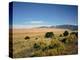 Sand Dunes of Great Sand Dunes National Park and Preserve in the Sangre De Cristo Mountains, CO-Bernard Friel-Premier Image Canvas