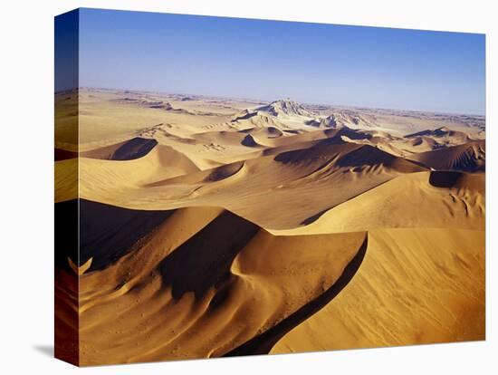 Sand Dunes of Namib-Naukluft Park-Michele Westmorland-Premier Image Canvas