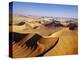 Sand Dunes of Namib-Naukluft Park-Michele Westmorland-Premier Image Canvas