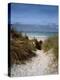 Sand dunes on beach, Abers Coast, Finistere, Brittany, France-null-Premier Image Canvas