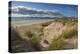 Sand dunes on Rossbeigh beach, Ring of Kerry, County Kerry, Munster, Republic of Ireland, Europe-Nigel Hicks-Premier Image Canvas