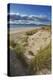 Sand dunes on Rossbeigh beach, Ring of Kerry, County Kerry, Munster, Republic of Ireland, Europe-Nigel Hicks-Premier Image Canvas