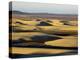 Sand Dunes, Skeleton Coast National Park, Namibia, Africa-Sergio Pitamitz-Premier Image Canvas
