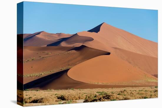 Sand dunes, Sossusvlei, Namib Desert, Namib-Naukluft National Park, Namibia-null-Premier Image Canvas
