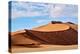 Sand dunes, Sossusvlei UNESCO World Heritage Site, Namibia-Eric Baccega-Premier Image Canvas