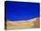 Sand Dunes-William Manning-Premier Image Canvas