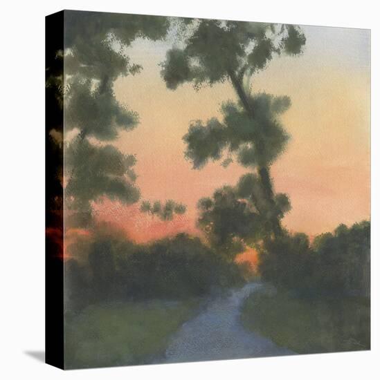 Sand Hill Sunset I-Elissa Gore-Stretched Canvas