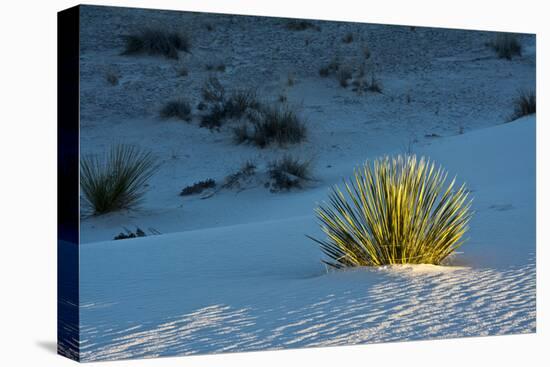 Sand Patterns, Yucca, White Sands Nm, Alamogordo, New Mexico-Michel Hersen-Premier Image Canvas