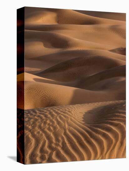 Sand Prints-Art Wolfe-Premier Image Canvas