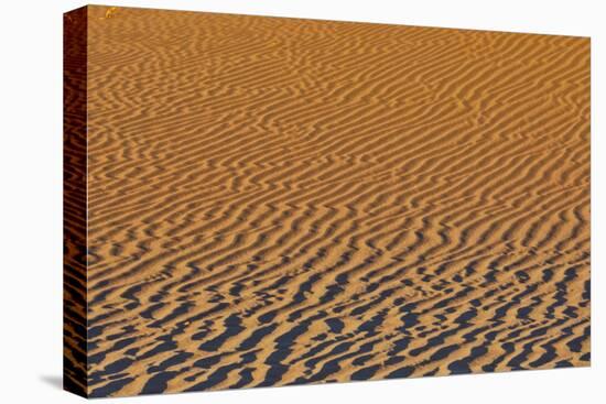 Sand ripple patterns in the desert of Sossusvlei, Namibia-Darrell Gulin-Premier Image Canvas