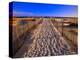 Sand Trail on Santa Rosa Island-Joseph Sohm-Premier Image Canvas